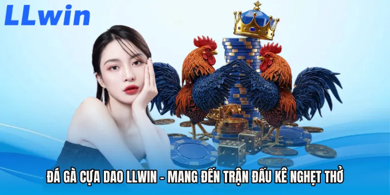 Đá Gà Cựa Dao LLWIN - Mang Đến Trận Đấu Kê Nghẹt Thở