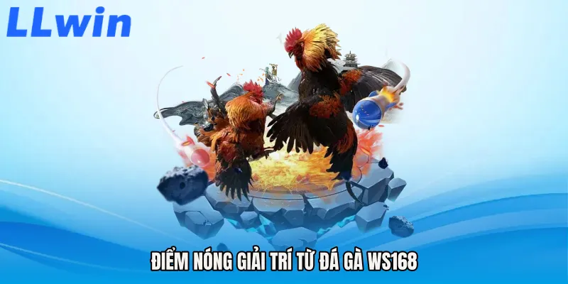 Điểm nóng giải trí từ Đá gà WS168