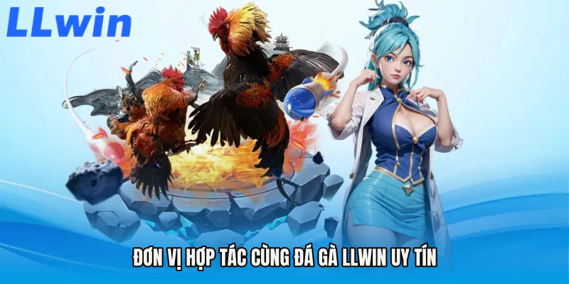 Đơn vị hợp tác cùng Đá gà LLWIN uy tín
