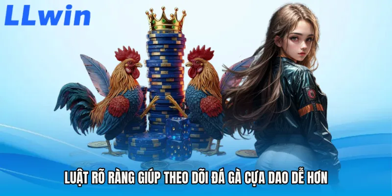 Luật rõ ràng giúp theo dõi Đá gà cựa dao dễ hơn
