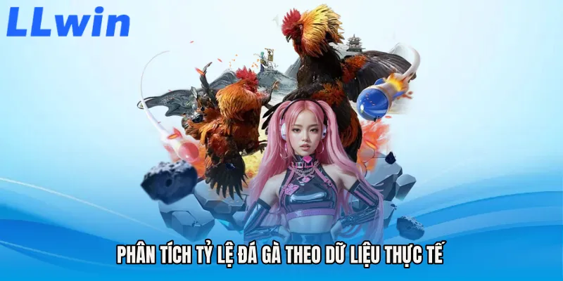 Phân tích Tỷ lệ đá gà theo dữ liệu thực tế