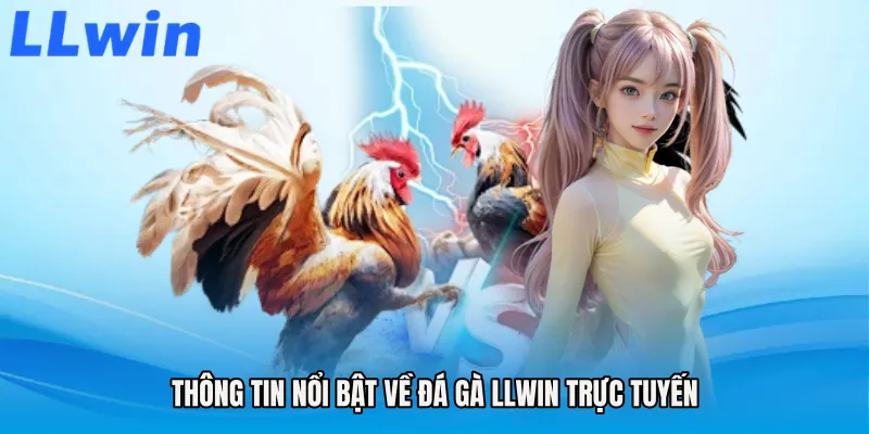 Thông tin nổi bật về Đá gà LLWIN trực tuyến