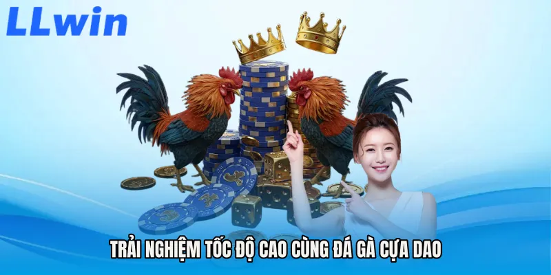 Trải nghiệm tốc độ cao cùng Đá gà cựa dao