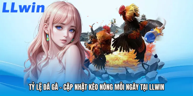 Tỷ Lệ Đá Gà - Cập Nhật Kèo Nóng Mỗi Ngày Tại LLWIN